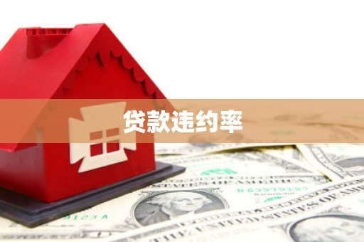 乌马河贷款违约率