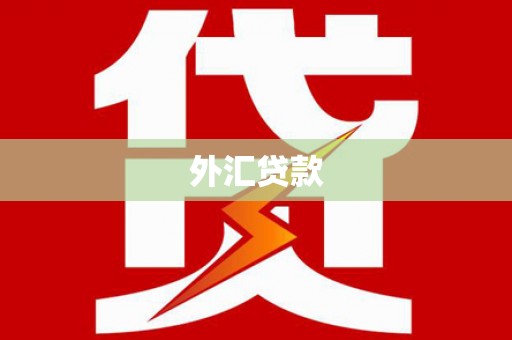 乌马河外汇贷款