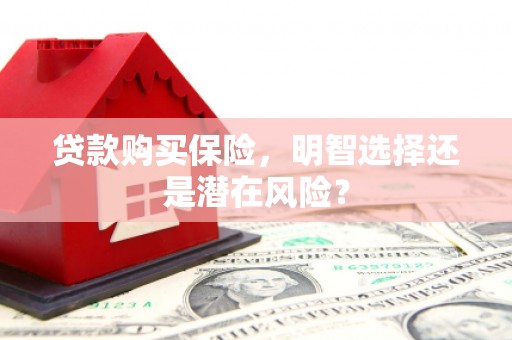 乌马河贷款购买保险，明智选择还是潜在风险？