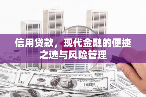 乌马河信用贷款，现代金融的便捷之选与风险管理