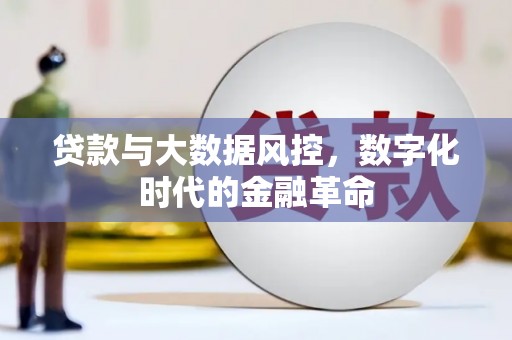 乌马河贷款与大数据风控，数字化时代的金融革命