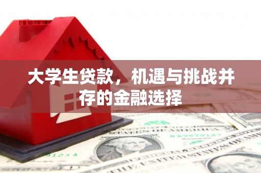 乌马河大学生贷款，机遇与挑战并存的金融选择