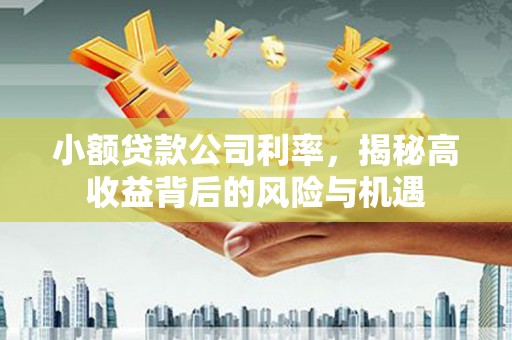 乌马河小额贷款公司利率，揭秘高收益背后的风险与机遇