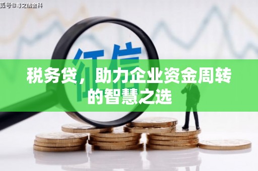 乌马河税务贷，助力企业资金周转的智慧之选
