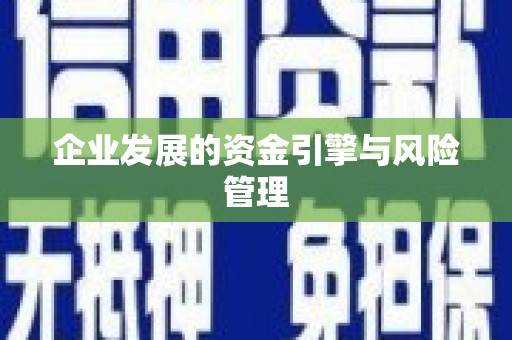 乌马河企业发展的资金引擎与风险管理