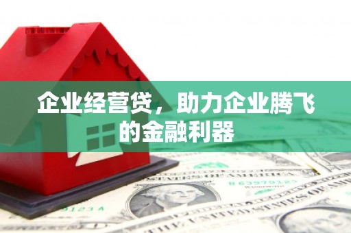 乌马河企业经营贷，助力企业腾飞的金融利器