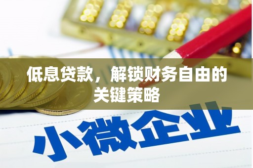 乌马河低息贷款，解锁财务自由的关键策略
