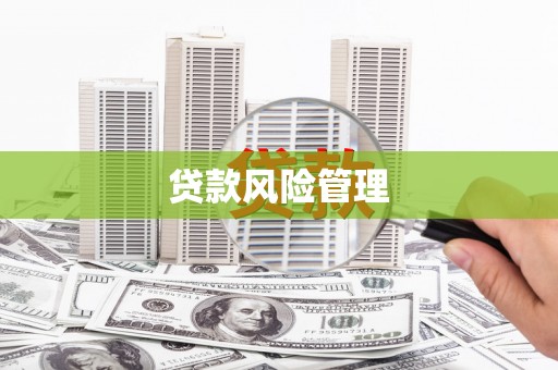 乌马河贷款风险管理