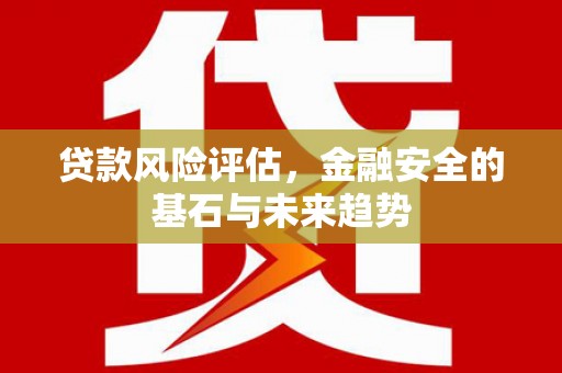 乌马河贷款风险评估，金融安全的基石与未来趋势