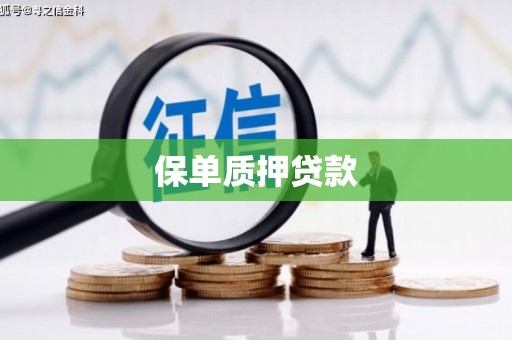 乌马河保单质押贷款