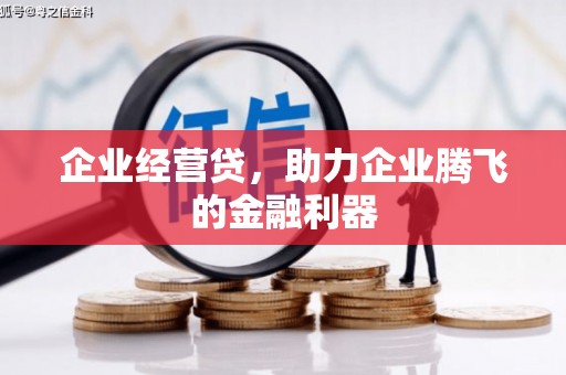乌马河企业经营贷，助力企业腾飞的金融利器