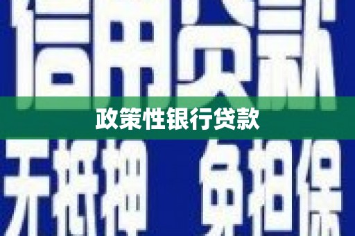 乌马河政策性银行贷款