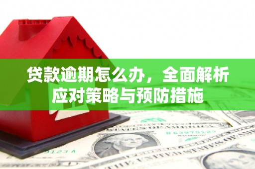 乌马河贷款逾期怎么办，全面解析应对策略与预防措施