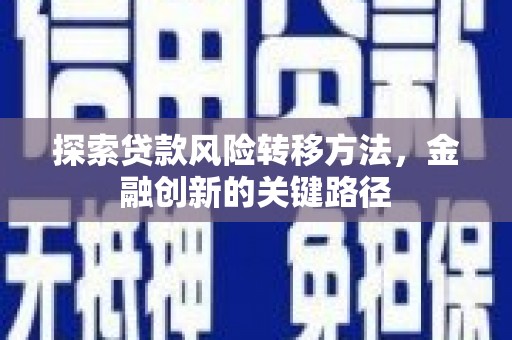 乌马河探索贷款风险转移方法，金融创新的关键路径