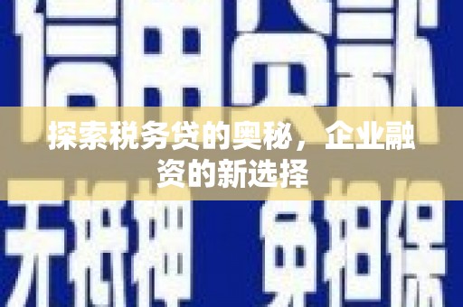 乌马河探索税务贷的奥秘，企业融资的新选择