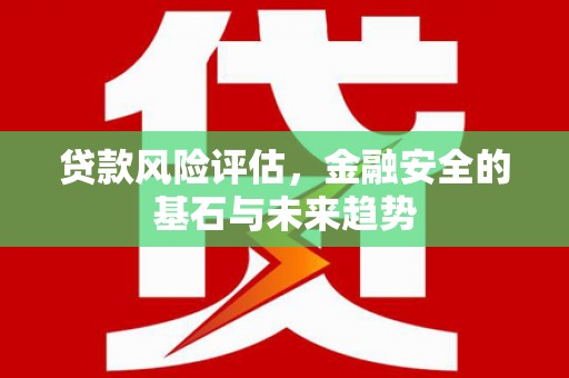 乌马河贷款风险评估，金融安全的基石与未来趋势
