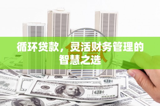乌马河循环贷款，灵活财务管理的智慧之选