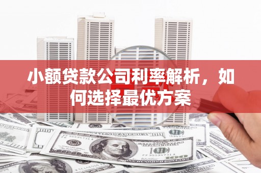 乌马河小额贷款公司利率解析，如何选择最优方案