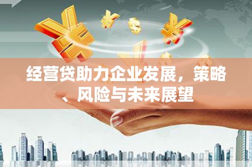 乌马河经营贷助力企业发展，策略、风险与未来展望