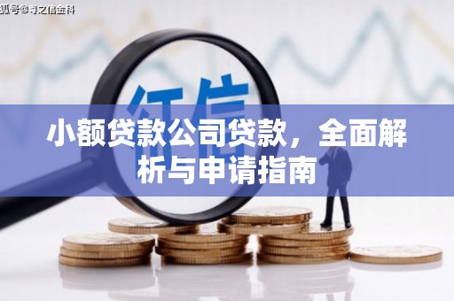 乌马河小额贷款公司贷款，全面解析与申请指南