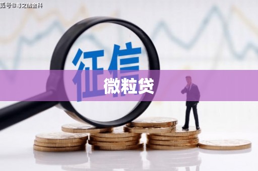 乌马河微粒贷