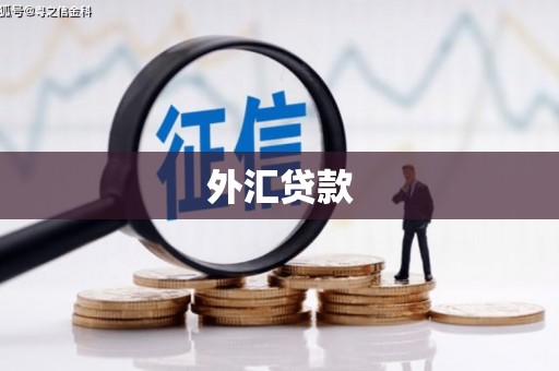 乌马河外汇贷款