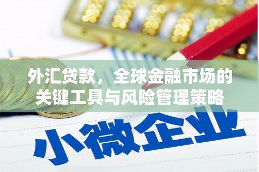 乌马河外汇贷款，全球金融市场的关键工具与风险管理策略