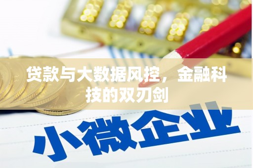 乌马河贷款与大数据风控，金融科技的双刃剑