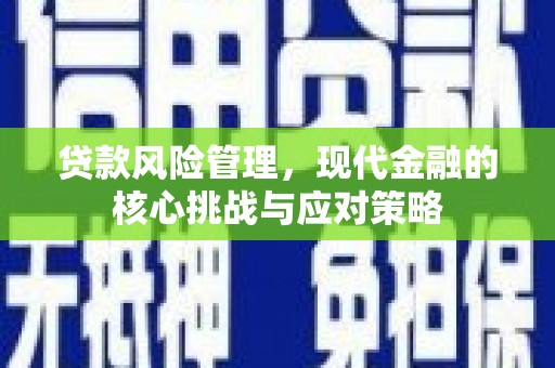 乌马河贷款风险管理，现代金融的核心挑战与应对策略