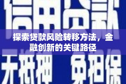 乌马河探索贷款风险转移方法，金融创新的关键路径