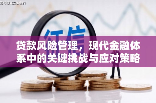 乌马河贷款风险管理，现代金融体系中的关键挑战与应对策略