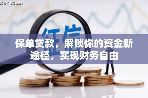 乌马河保单贷款，解锁你的资金新途径，实现财务自由