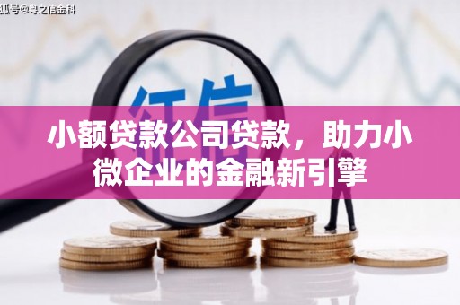 乌马河小额贷款公司贷款，助力小微企业的金融新引擎