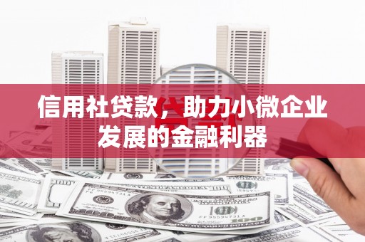 乌马河信用社贷款，助力小微企业发展的金融利器