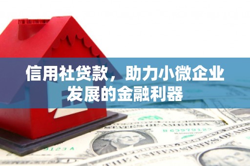 乌马河信用社贷款，助力小微企业发展的金融利器