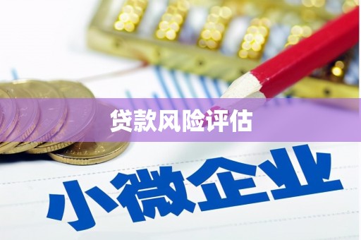 乌马河贷款风险评估