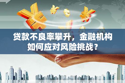 乌马河贷款不良率攀升，金融机构如何应对风险挑战？