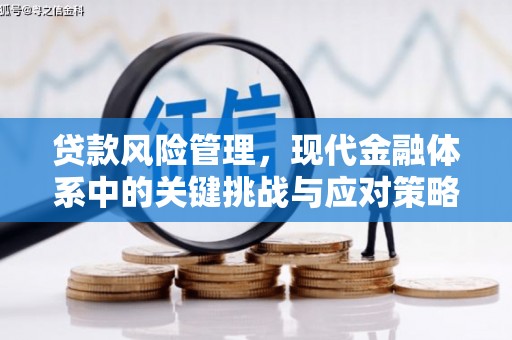 乌马河贷款风险管理，现代金融体系中的关键挑战与应对策略