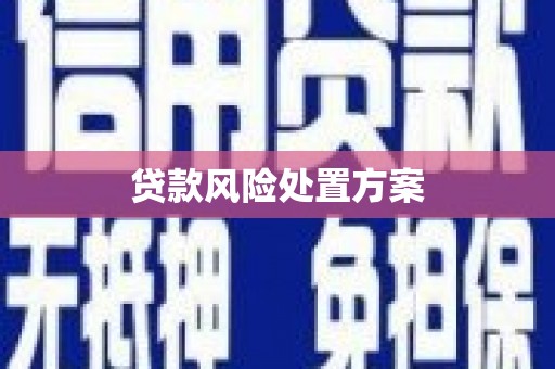 乌马河贷款风险处置方案