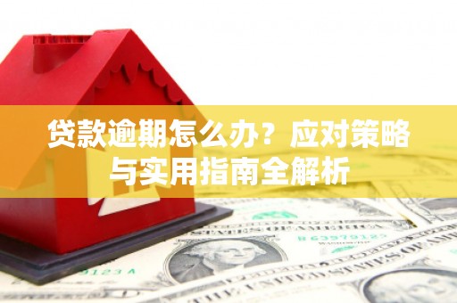 乌马河贷款逾期怎么办？应对策略与实用指南全解析