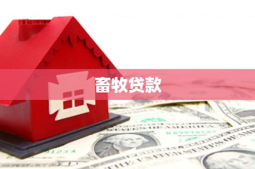 乌马河畜牧贷款