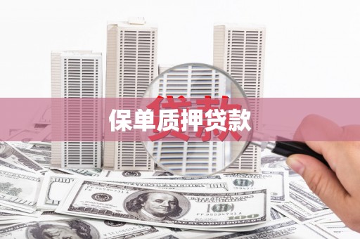 乌马河保单质押贷款
