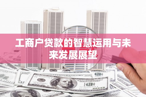 乌马河工商户贷款的智慧运用与未来发展展望