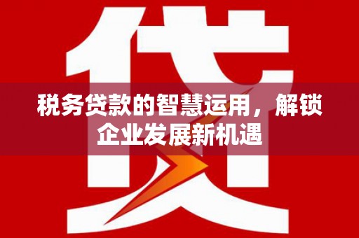 乌马河税务贷款的智慧运用，解锁企业发展新机遇