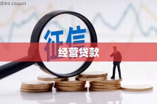 乌马河经营贷款