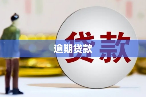 乌马河逾期贷款