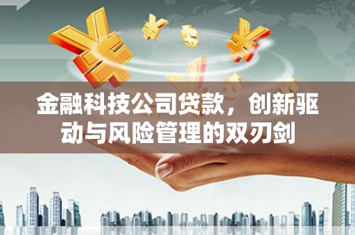 乌马河金融科技公司贷款，创新驱动与风险管理的双刃剑