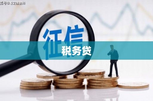 乌马河税务贷